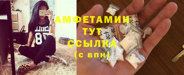 стаф Богданович